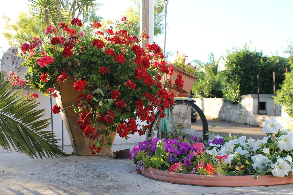 Bed and Breakfast La Casa Del Nonno Alberobello Exterior foto