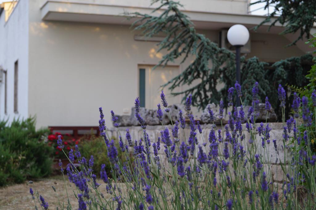 Bed and Breakfast La Casa Del Nonno Alberobello Exterior foto